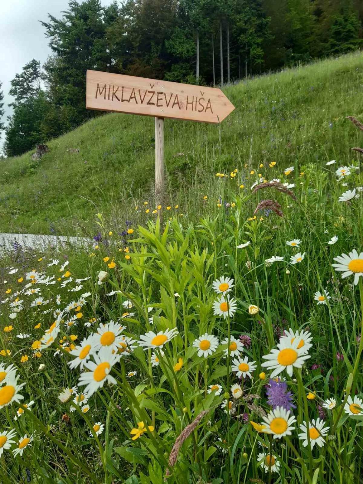 Villa Miklavzeva Hisa With A Bread Oven à Zelezniki Extérieur photo